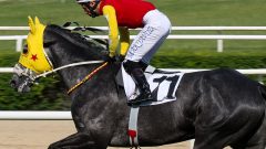 23 Eylül 2022, Cuma (Bugün) – Bursa 1.ci altılı At Yarışı tahmini TAKOZ TUNCAY